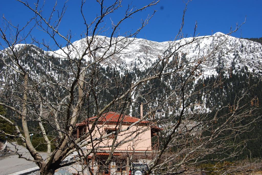 Dryades Guesthouse Ano Khora Exteriör bild